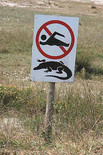 Attention présence de crocodiles!