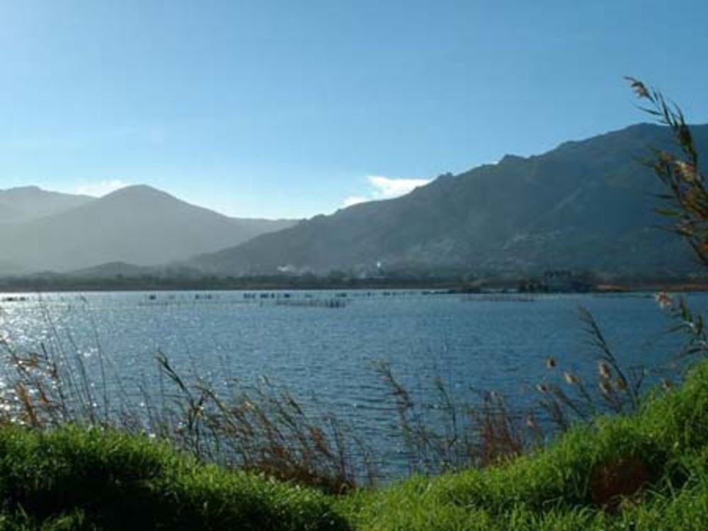 L'étang de Biguglia