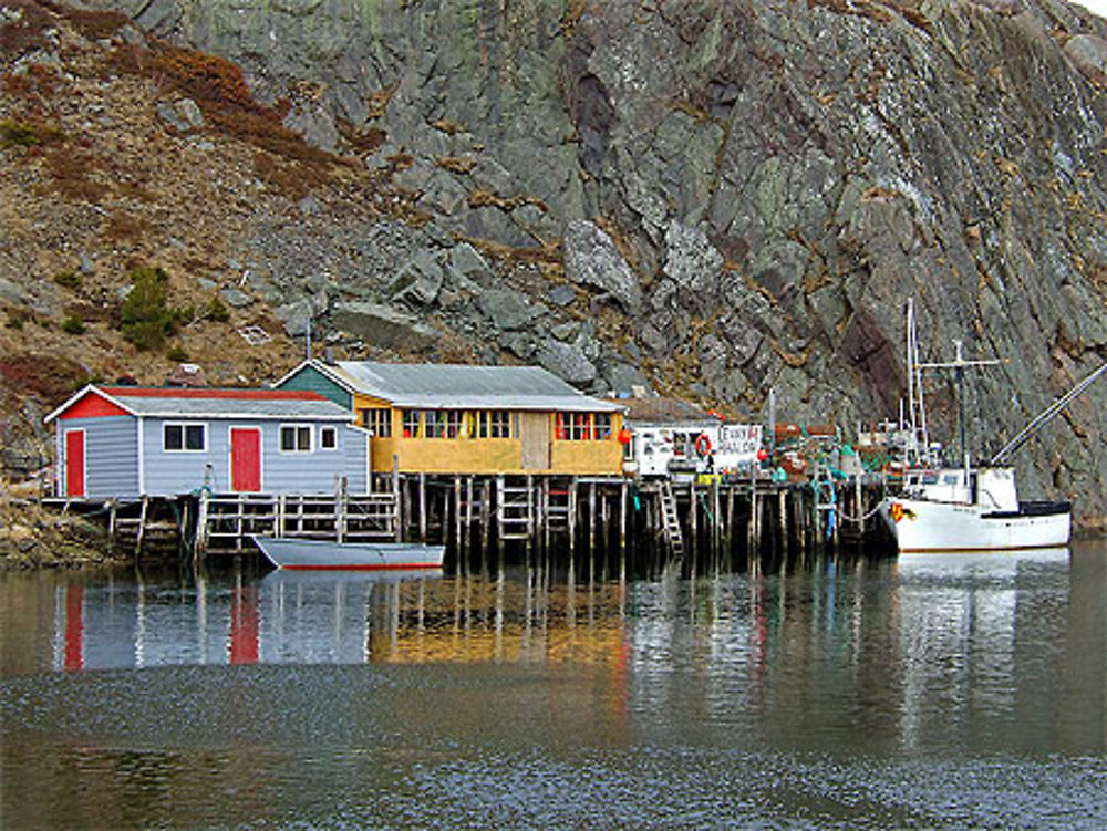 Couleurs à Quidi Vidi