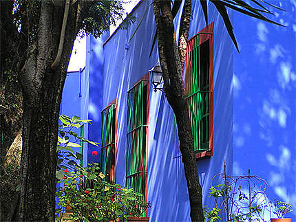 Casa Azul (chez Frida Khalo)