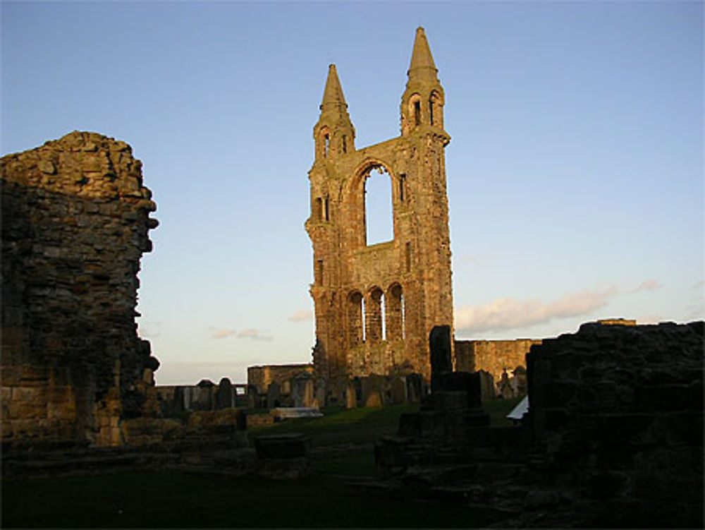 Cathédrale de St Andrews