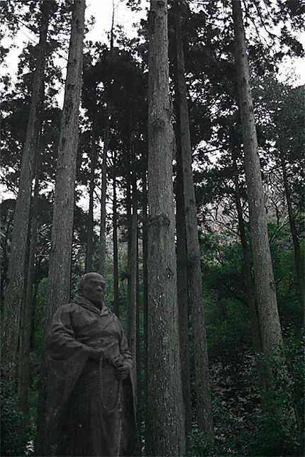Statue en forêt