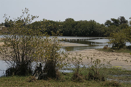 Bras de rivière aux oiseaux Bras de rivière aux oiseaux