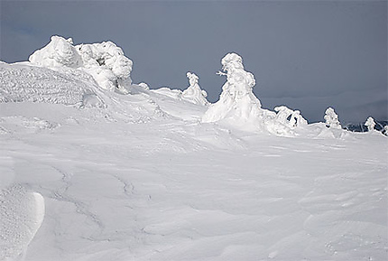 Sculptures sur le mont Chaulet