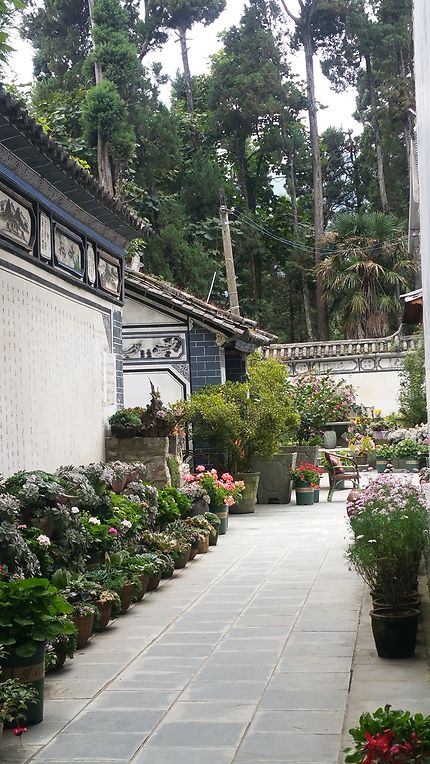 Allée fleurie du Temple Jizhao