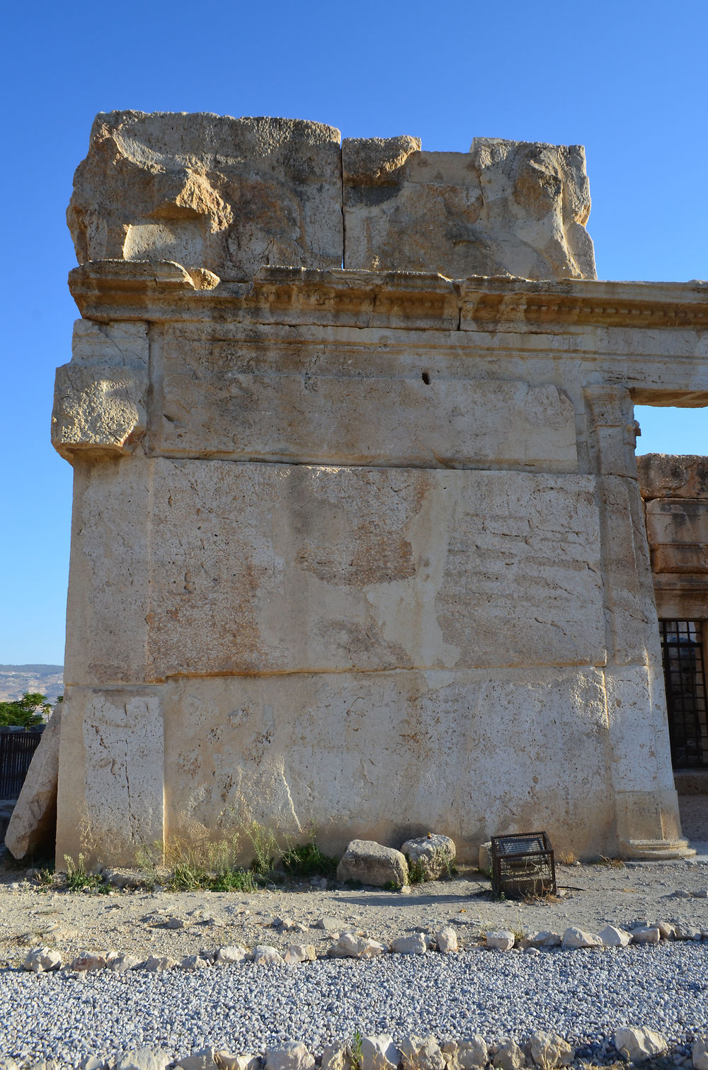 Le château des lions , panthères et aigles