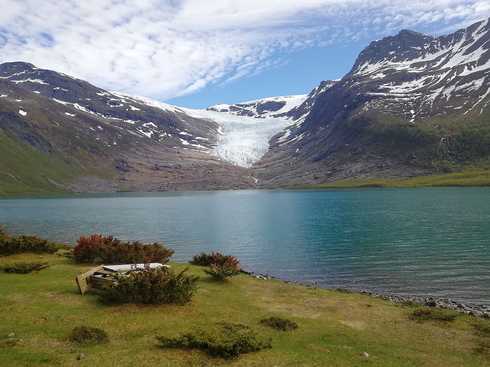 Le glacier Svartisen