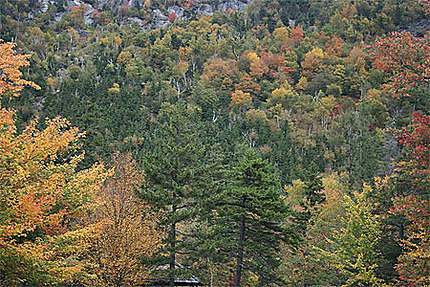 Couleurs d'automne à Kinsman Notch