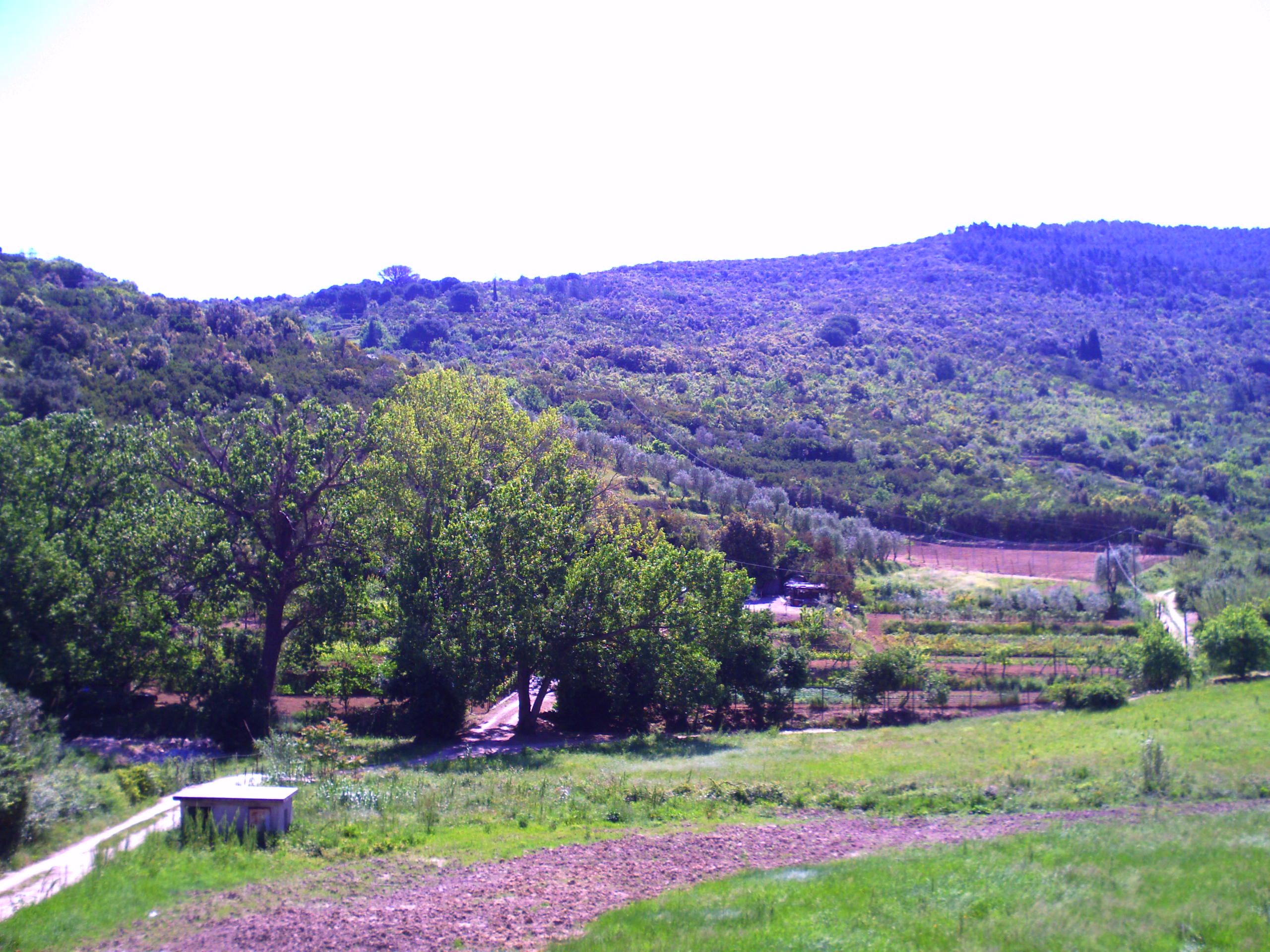 Hotel Il Caminetto