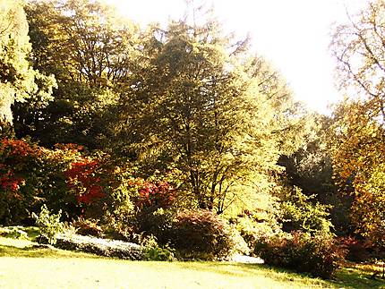 Jardins de Chatsworth House en automne