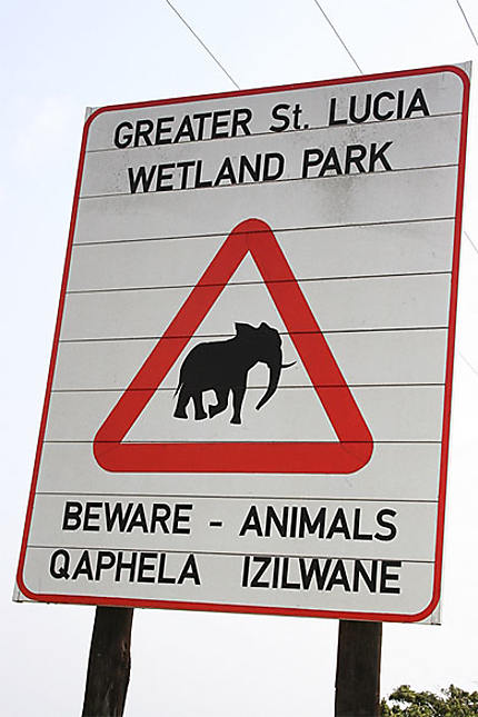 Attention présence d'éléphants!