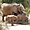 Eléphant avec deux éléphanteaux