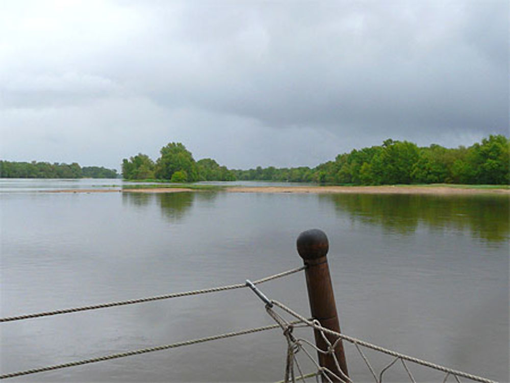 Confluent de la Loire et de la Vienne