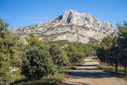 La Sainte-Victoire, icône de la Provence