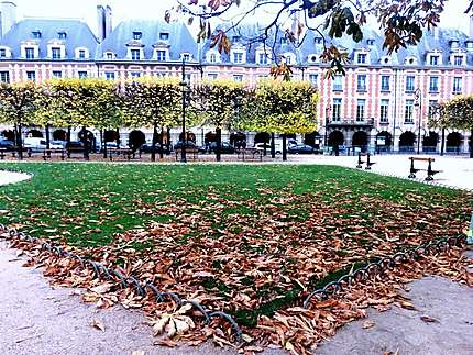 L'automne Place des Vosges