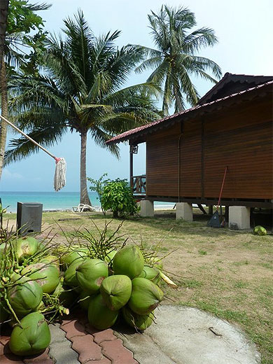 A Juara A Juara
