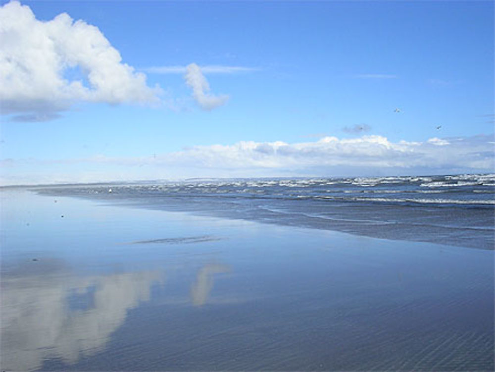 Plage St Andrews