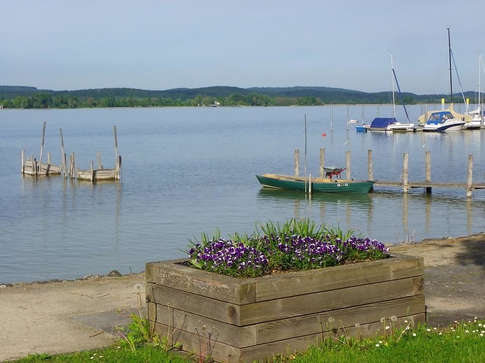 Lac de Constance à Markelfingen