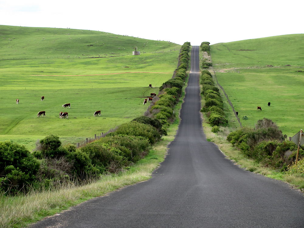 Chemin de campagne