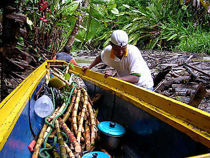 Navigation sur le rio Domingodo en pleine jungle colombienne