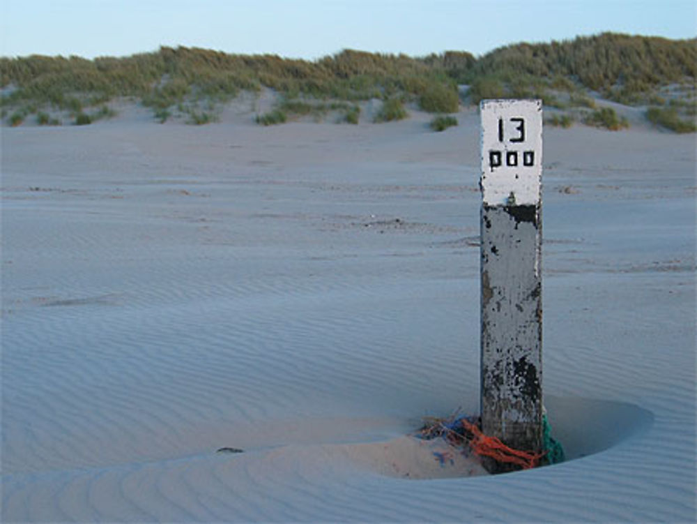 Plage à Ameland