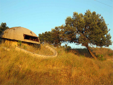 Bunker et olivier Bunker et olivier