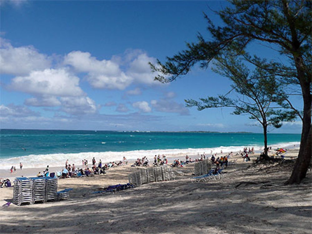 Cabbage beach