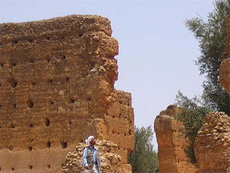Muraille de la Mansourah Muraille de la Mansourah
