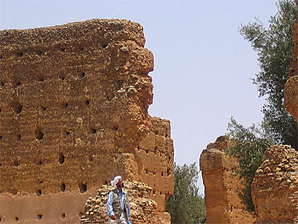Muraille de la Mansourah