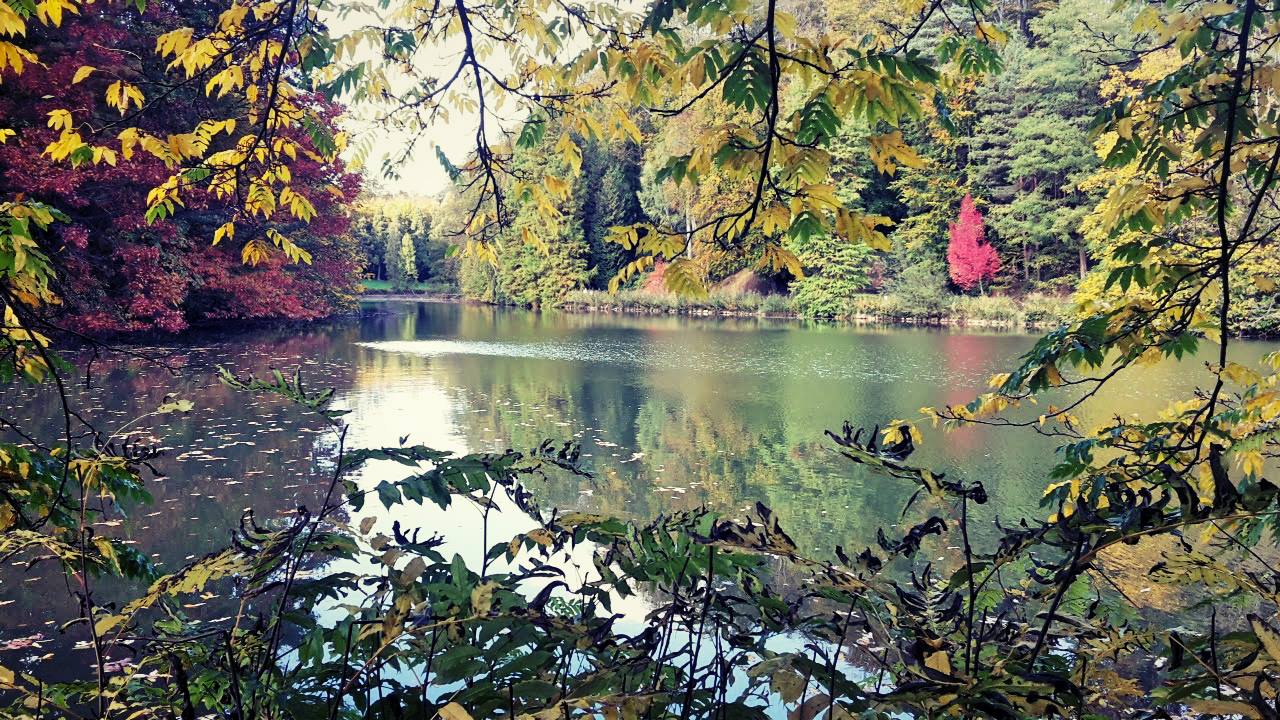 Automne en Belgique Automne en Belgique