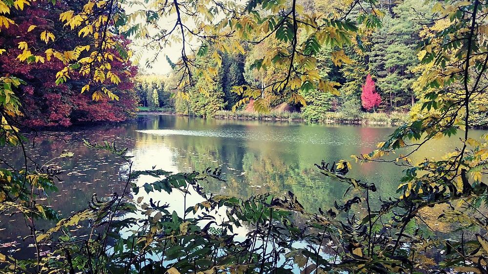 Automne en Belgique