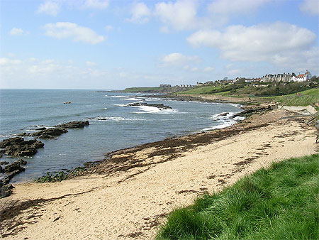 Crail Crail