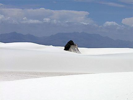 White Sand Desert