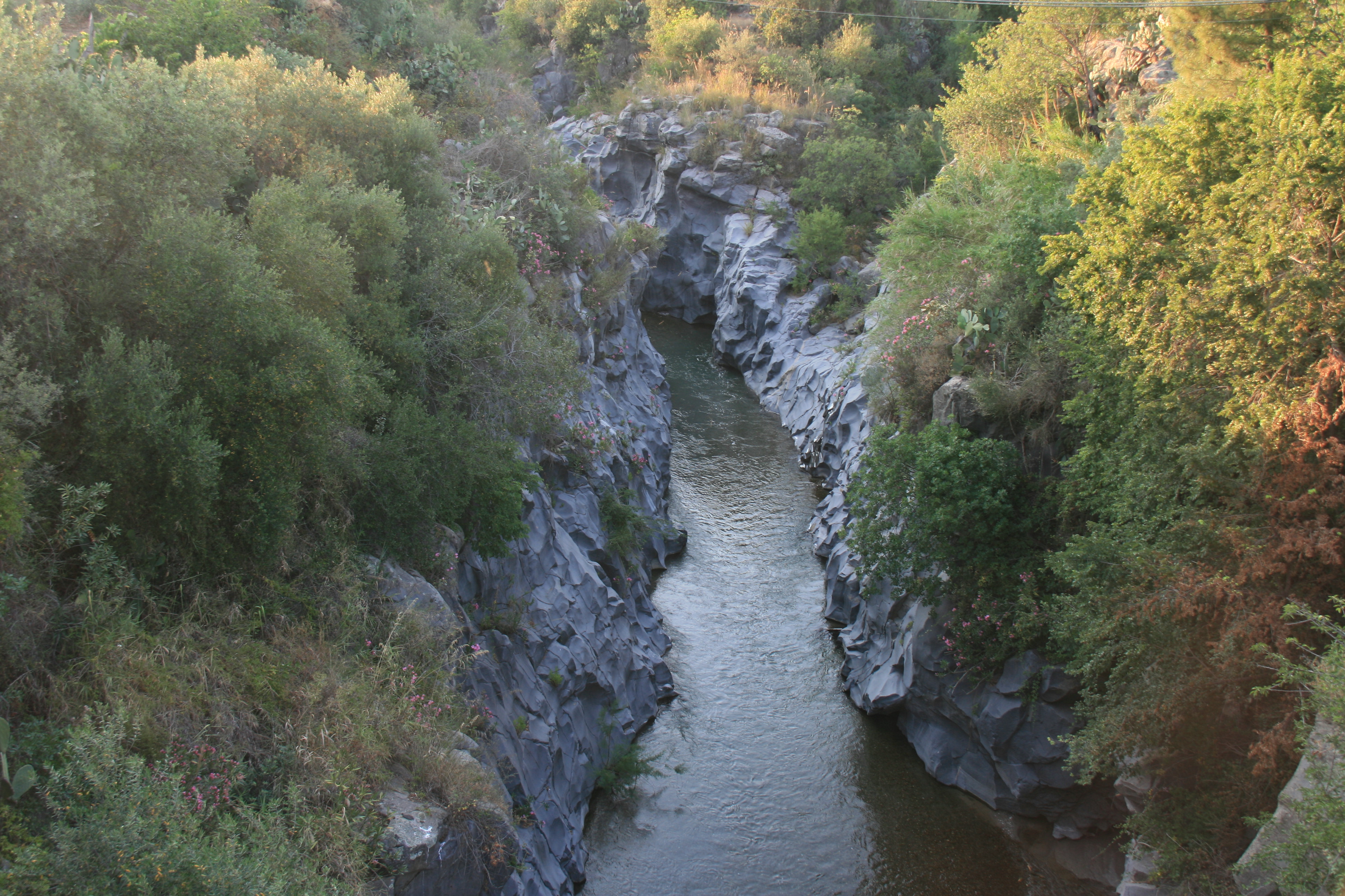 Les gorges de l'Alcantara Les gorges de l'Alcantara