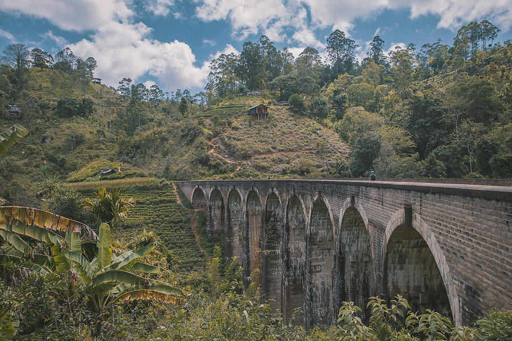 Le pont aux 9 Arches