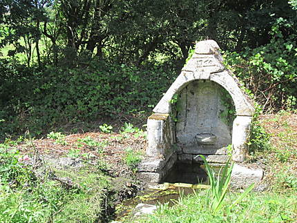 Fontaine 