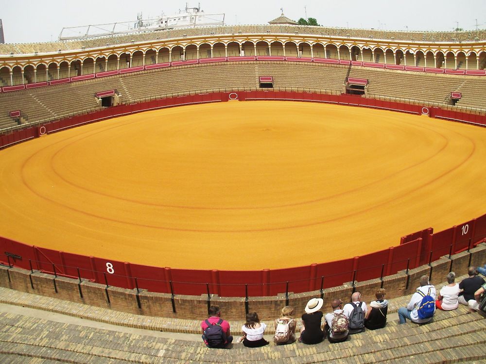 Les arènes de Séville 