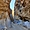 Entrée du canyon dans les gorges de Tripiti