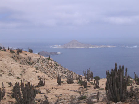 Pan de Azucar Pan de Azucar