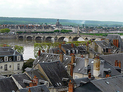 Les toits et le pont sur la Loire