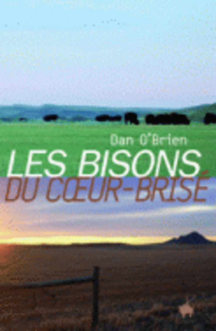 Les Bisons du Cœur-Brisé