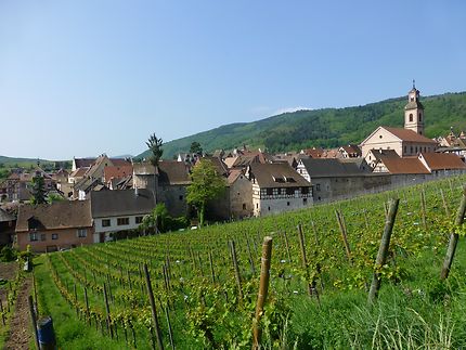 En pente douce, Riquewihr, Alsace