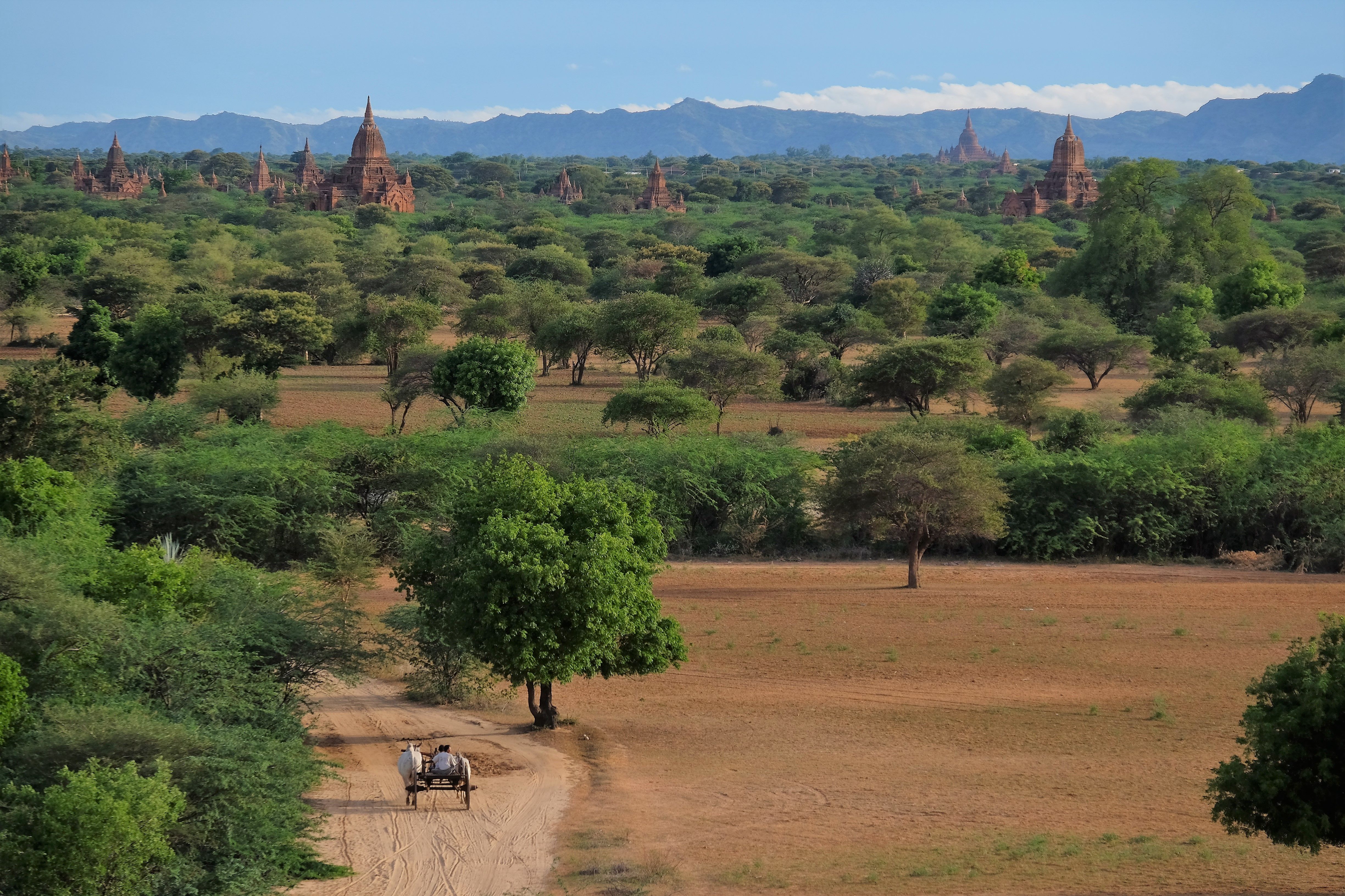 Among temples, Bagan en Birmanie