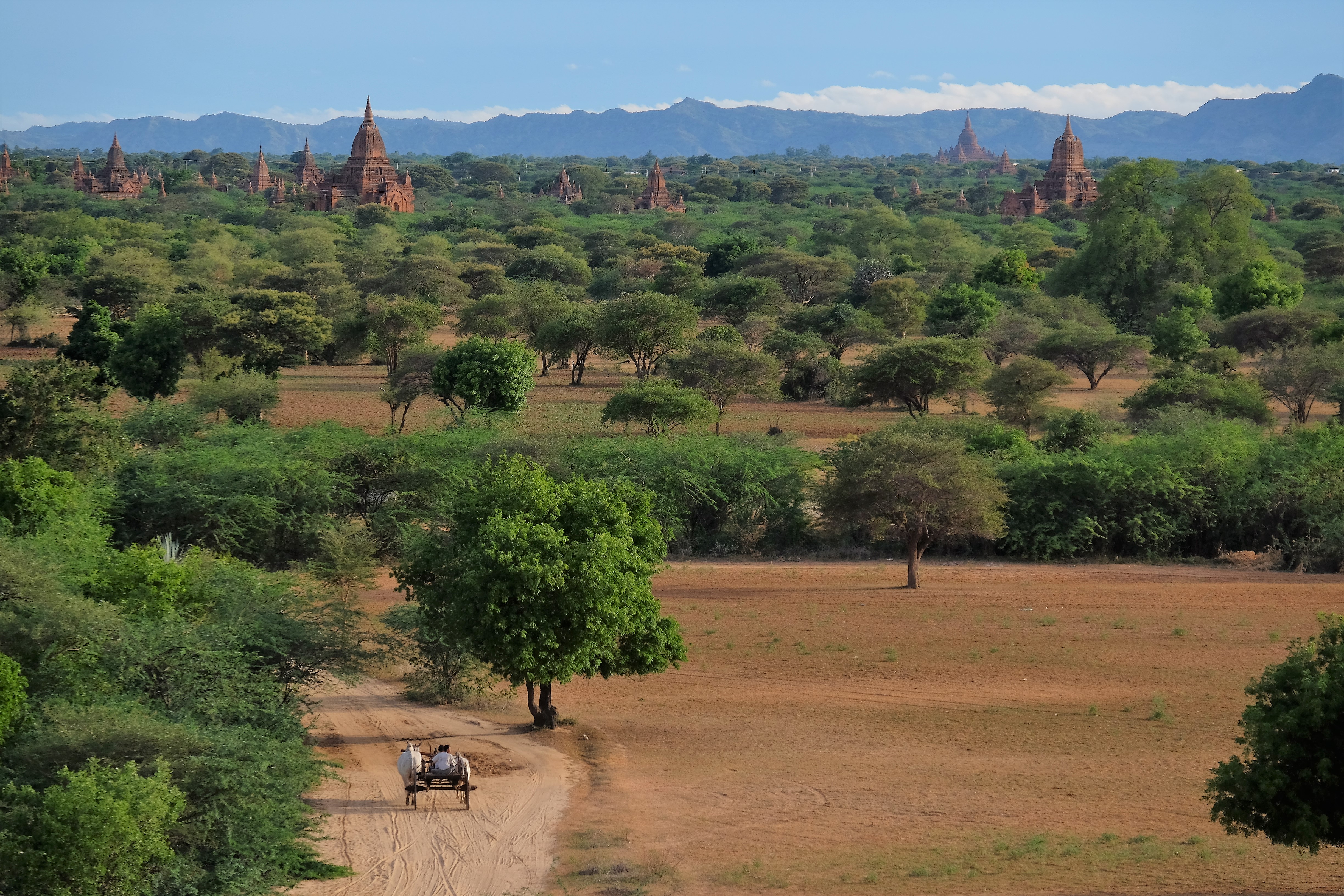 Among temples, Bagan en Birmanie Among temples, Bagan en Birmanie