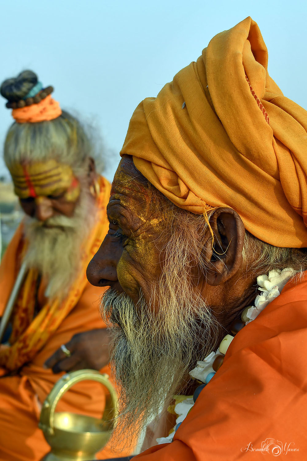 Sadhus 