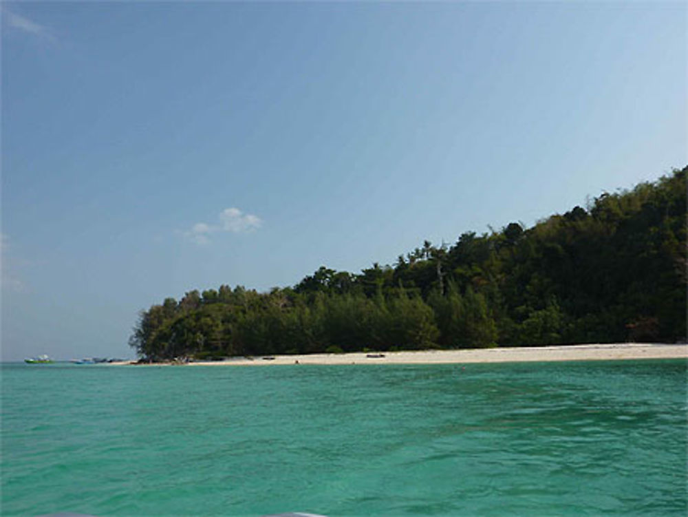 Bamboo island