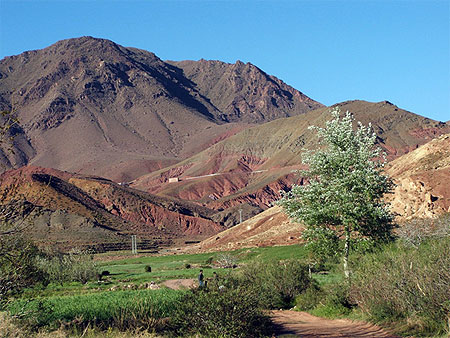 La campagne marocaine La campagne marocaine