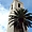 La tour carrée mariée au palmier