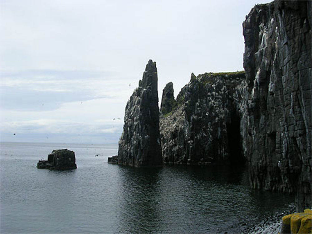 Falaises Ile de May