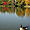 lac Daumesnil en automne